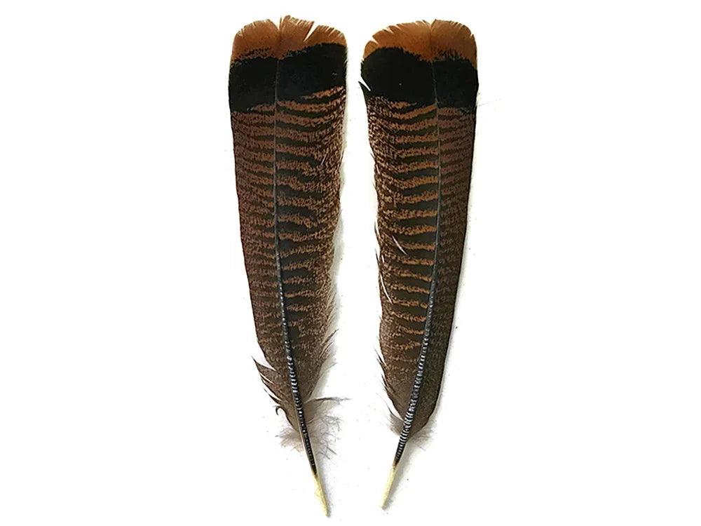 Two brown striped feathers with black tips for crafts and DIY decor.