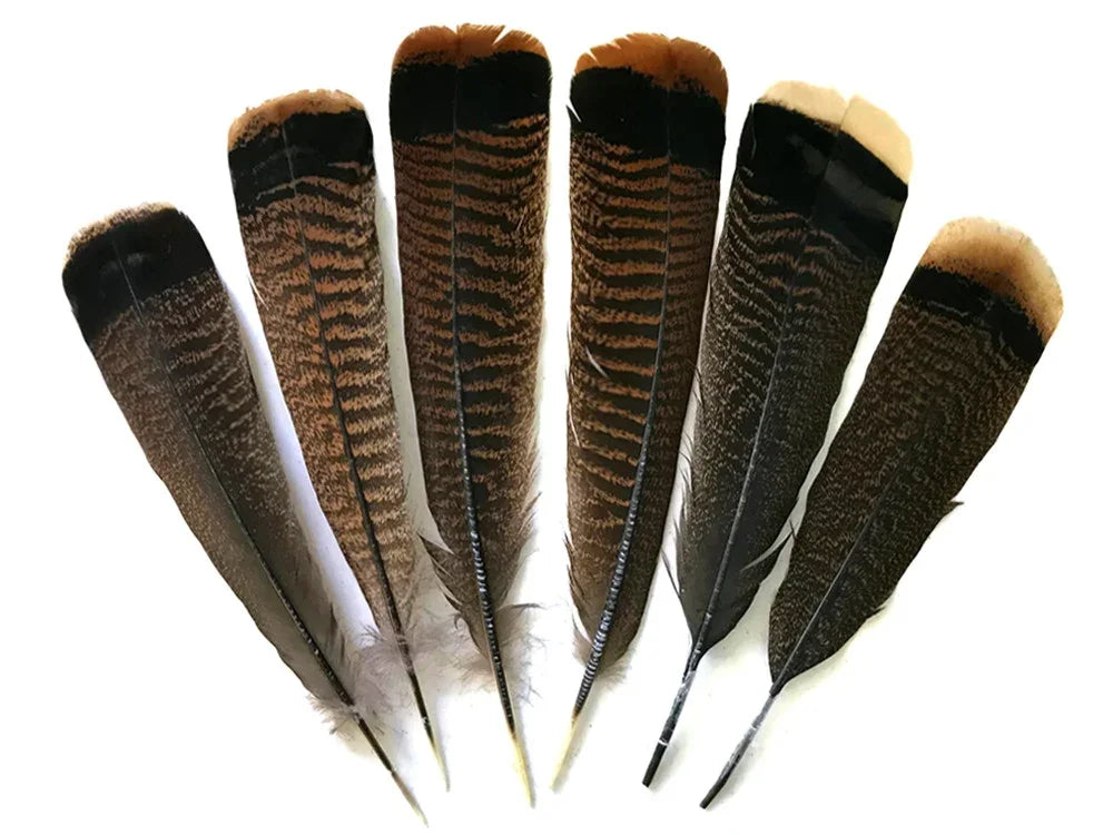 Six long brown patterned feathers with black tips for DIY crafts and fashion decor.