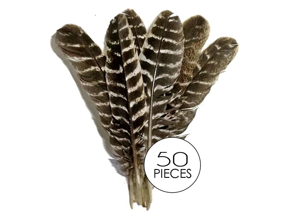 Set of 50 striped brown and white natural feathers for DIY crafts and fashion decor.