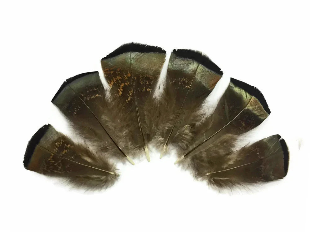 Set of five iridescent brown decorative feathers for crafts and fashion DIY projects.
