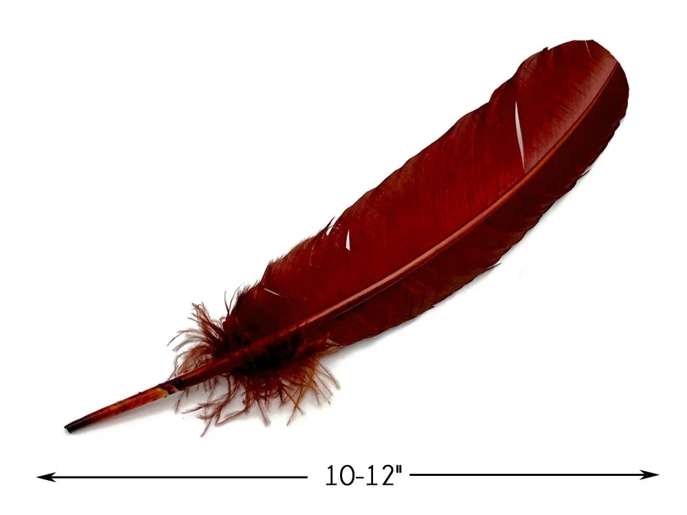 Large deep red craft feather, 10-12 inches long, for DIY fashion and decor.