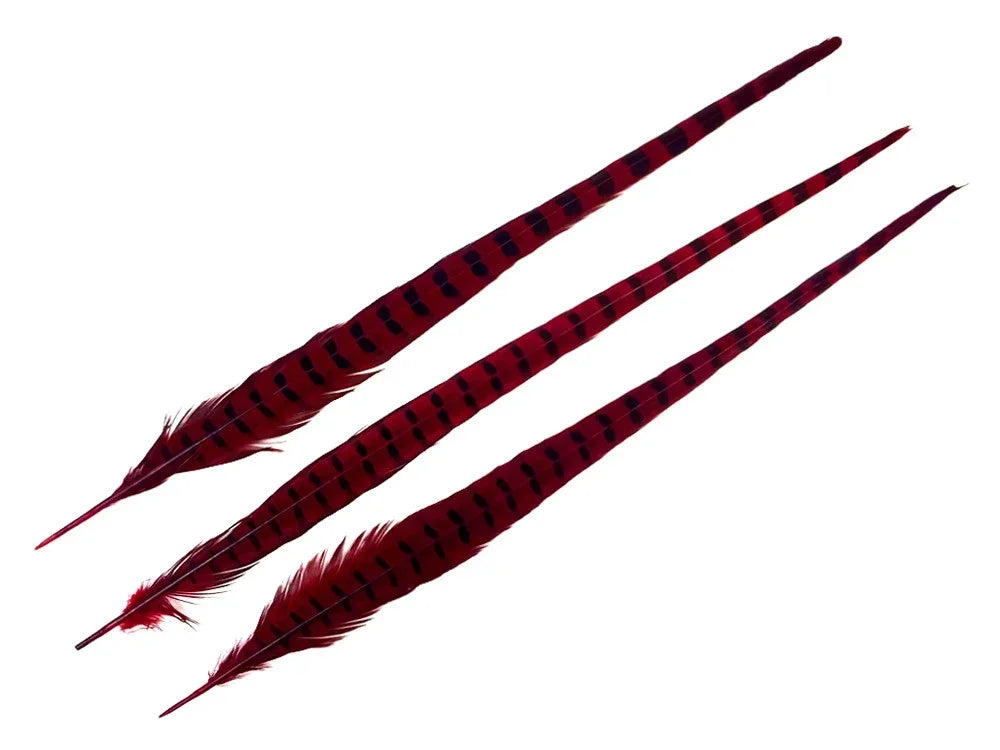 Three long, patterned red and black decorative feathers for crafts and fashion DIY.