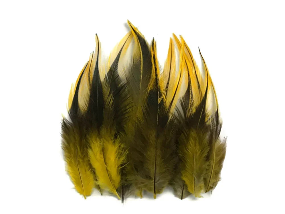 Natural yellow and black patterned feathers for DIY crafts and fashion decor.