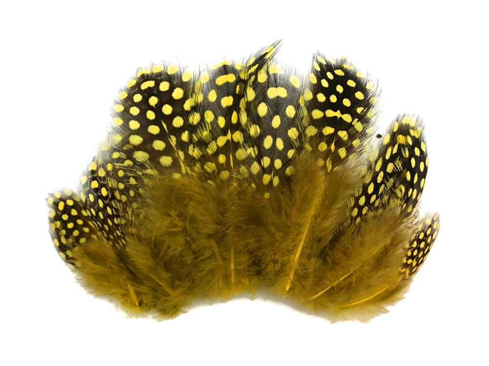1/4 Lb - Yellow Guinea Hen Plumage Polka Dot Feathers Wholesale (Bulk)