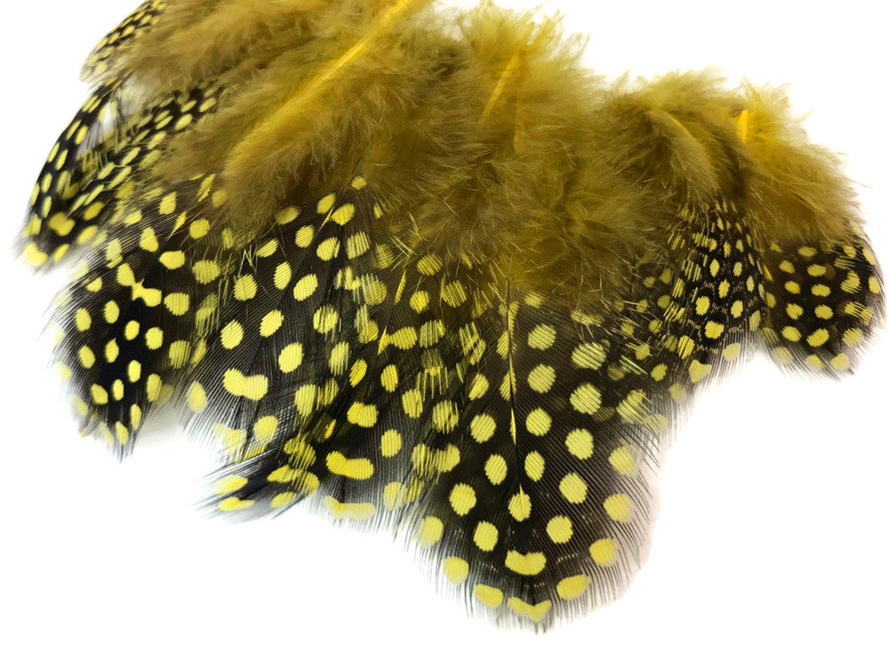 1/4 Lb - Yellow Guinea Hen Plumage Polka Dot Feathers Wholesale (Bulk)