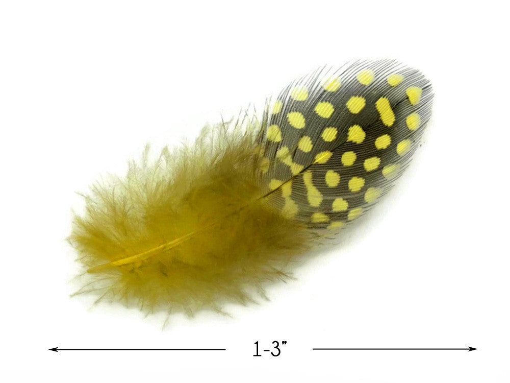 1/4 Lb - Yellow Guinea Hen Plumage Polka Dot Feathers Wholesale (Bulk)