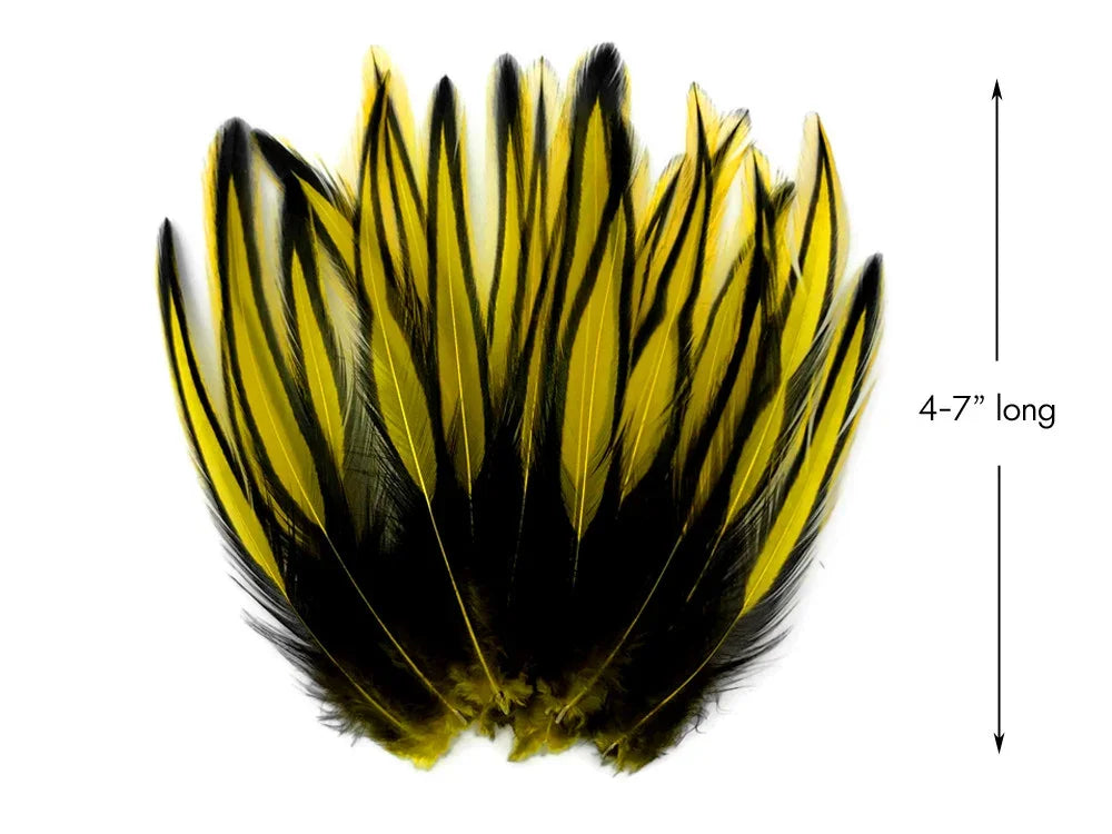 Yellow and black striped craft feathers, 4-7 inches long for DIY fashion and decor.