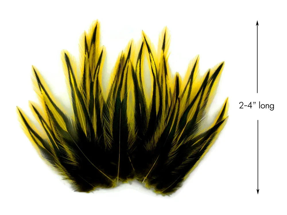 Yellow and black variegated feathers for crafts, 2-4 inches long.