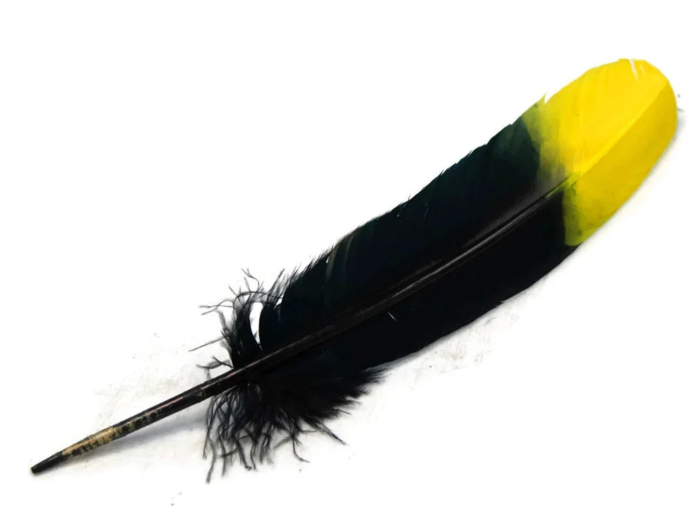 Single black and yellow craft feather for DIY fashion and decor projects.