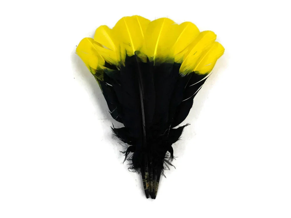 Yellow and black dyed feathers for DIY crafts and fashion accessories.