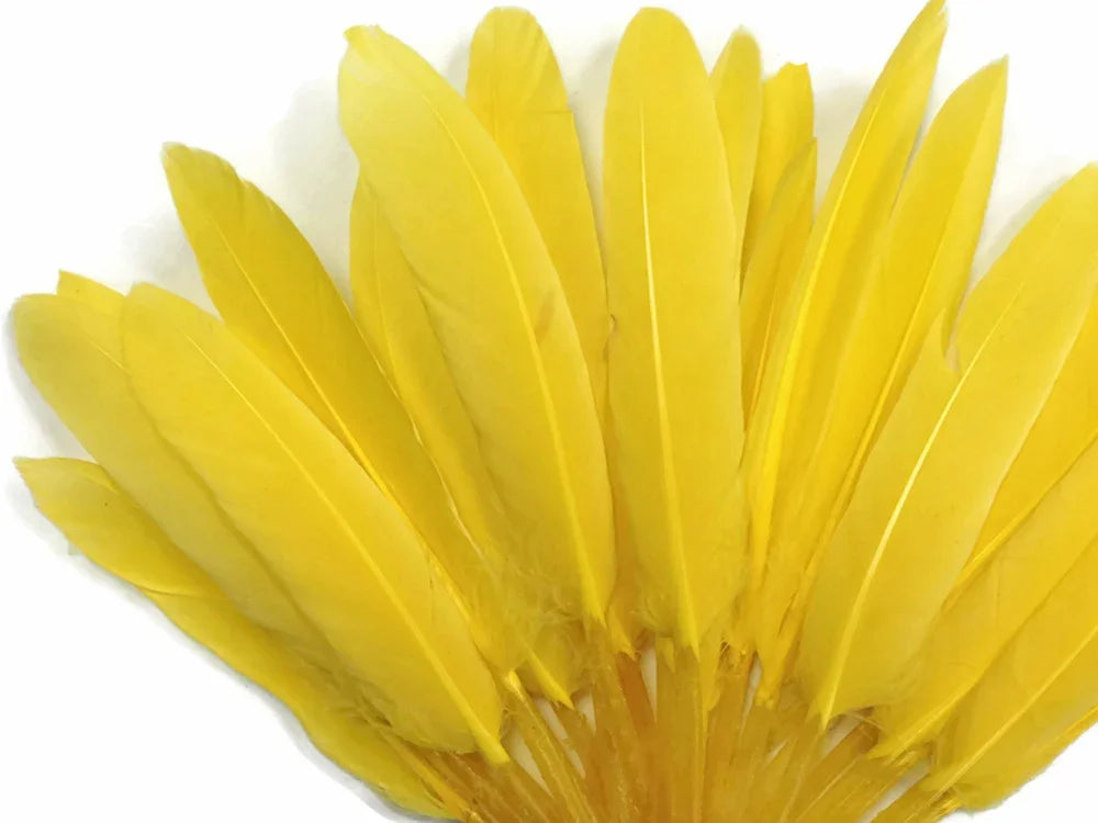 Vibrant yellow feathers arranged in a decorative fan shape for crafts and DIY decor.