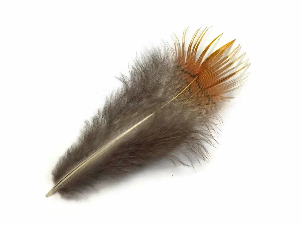Natural brown and orange decorative feather for crafts and DIY fashion accessories.