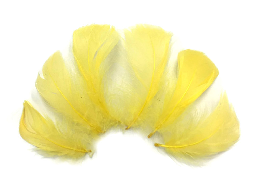 1/4 Lb - 2-3" Yellow Goose Coquille Loose Wholesale Feathers (Bulk)