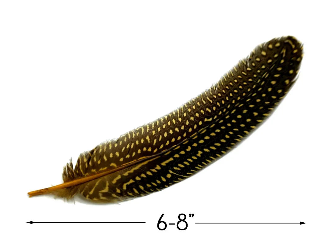 6-8 inch long spotted brown bird feather for DIY crafts and fashion accessories.