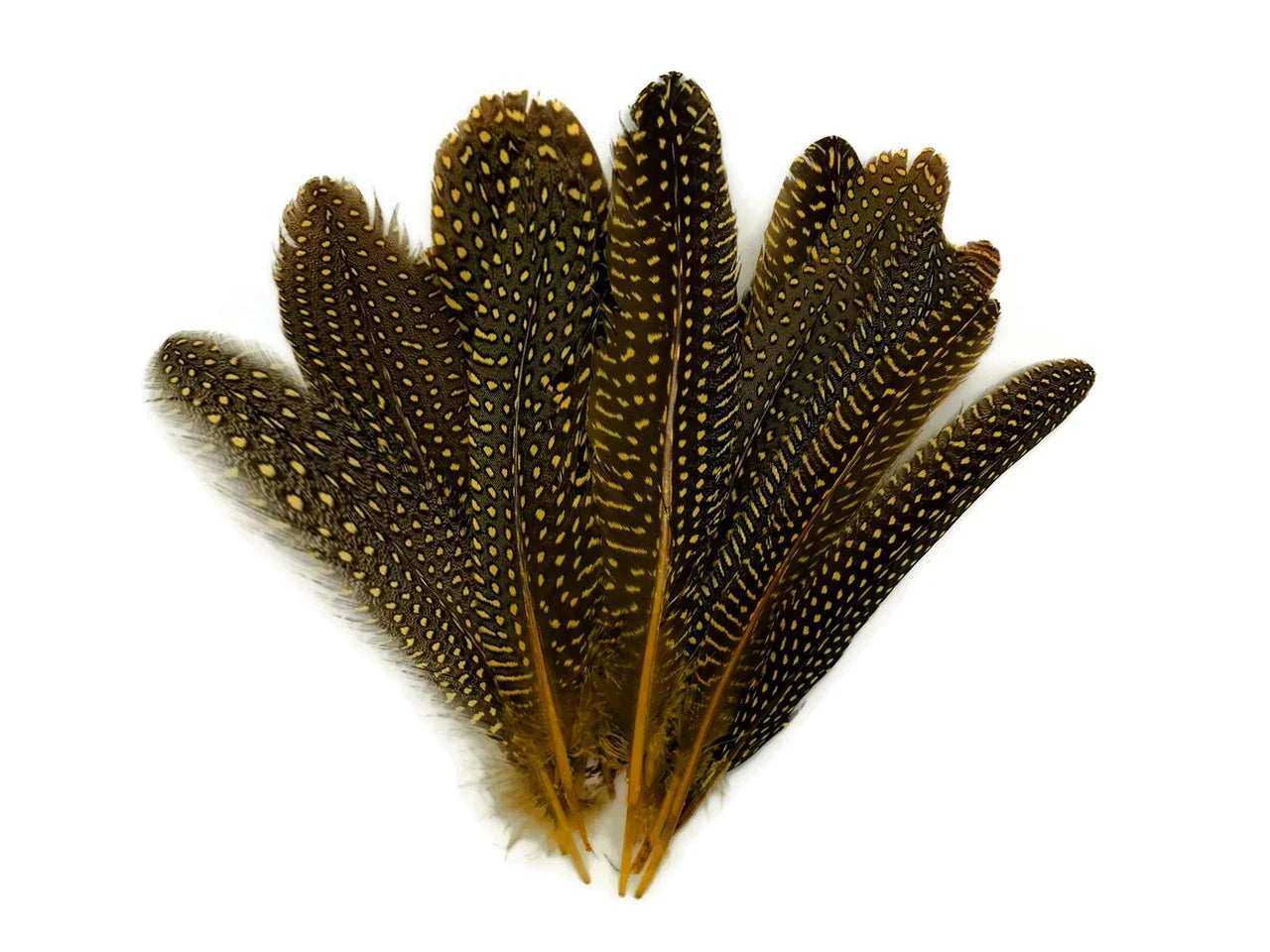 Natural brown speckled feathers for DIY crafts and fashion decor.