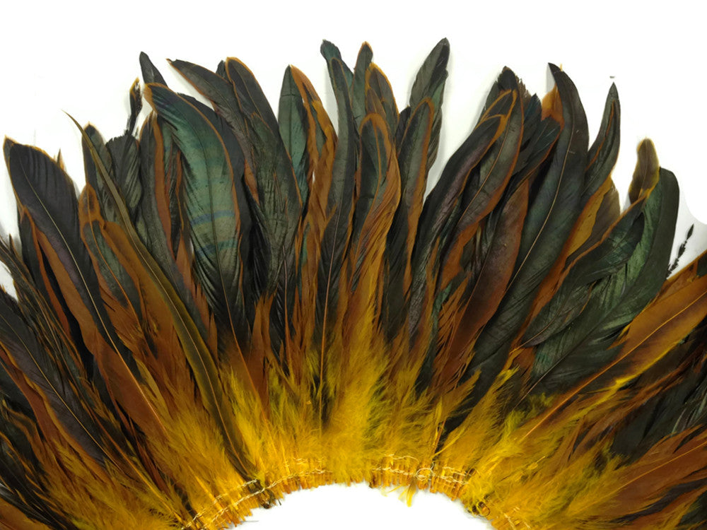 2.5 Inch Strip - Yellow Gold Half Bronze Natural Dyed Coque Tail Strung Feathers