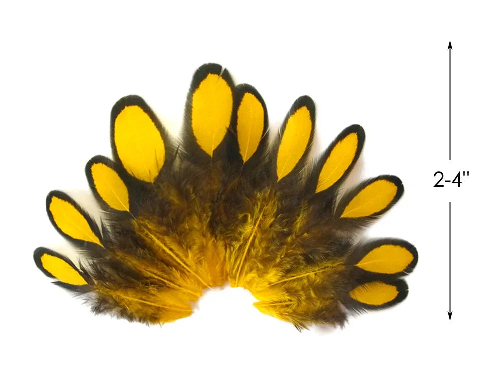 Yellow and black decorative feathers for crafts and DIY fashion, 2-4 inches.