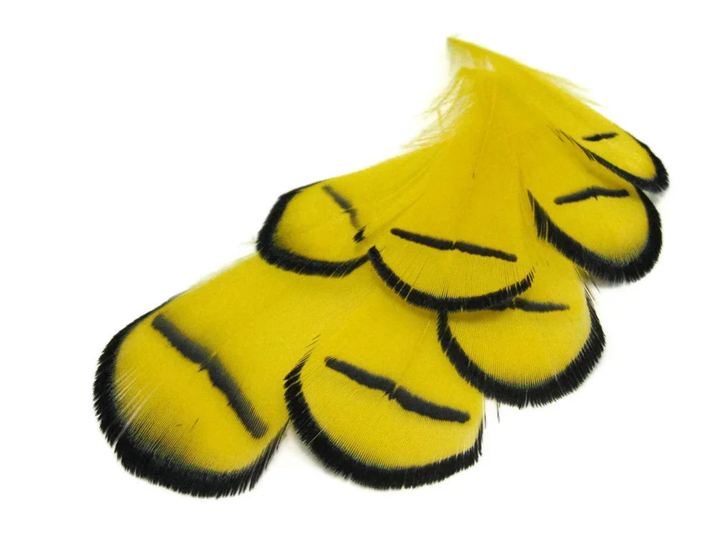 Bright yellow feathers with black edges and stripes for DIY crafts and fashion decor.