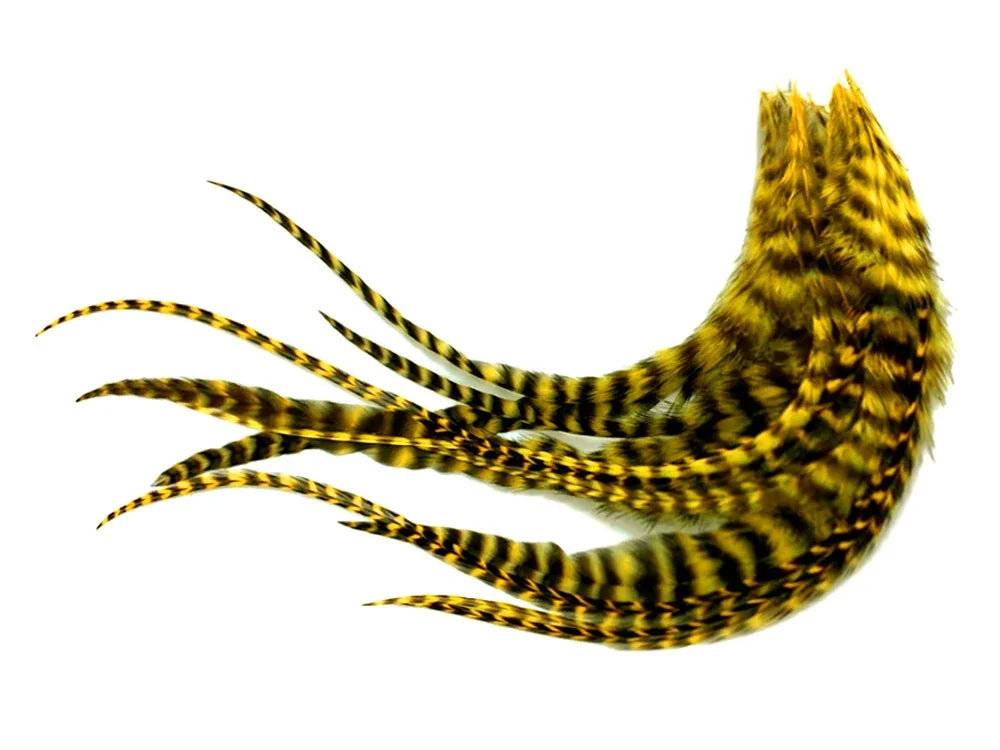 Natural yellow and black striped pheasant feathers for crafts and DIY decor.