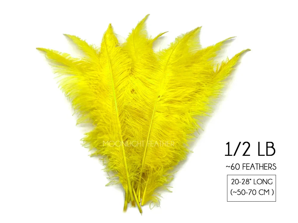 Bundle of bright yellow ostrich feathers for crafts and fashion decor, 20-28 inches long.