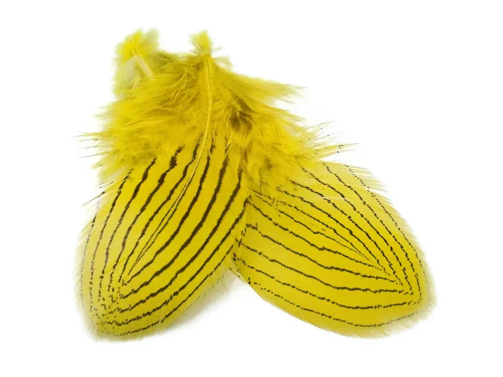 Two vibrant yellow feathers with black striped patterns for DIY crafts and fashion decor.