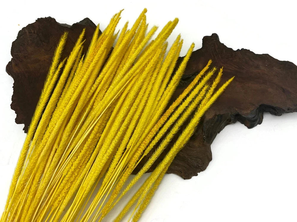 Vibrant yellow dried decorative grass stems on a dark rustic wood background.