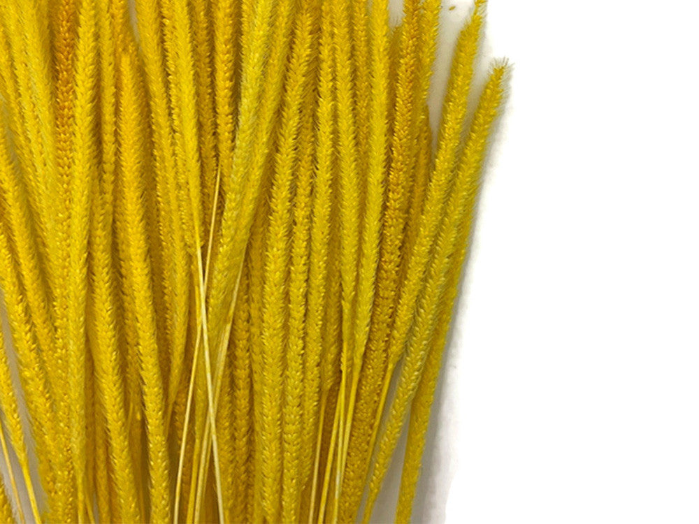 60 Pieces - 18-22" Dyed Yellow Thousand Grass Reed Preserved Dried Botanical
