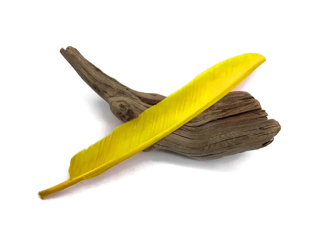 Bright yellow craft feather resting on a piece of natural driftwood.