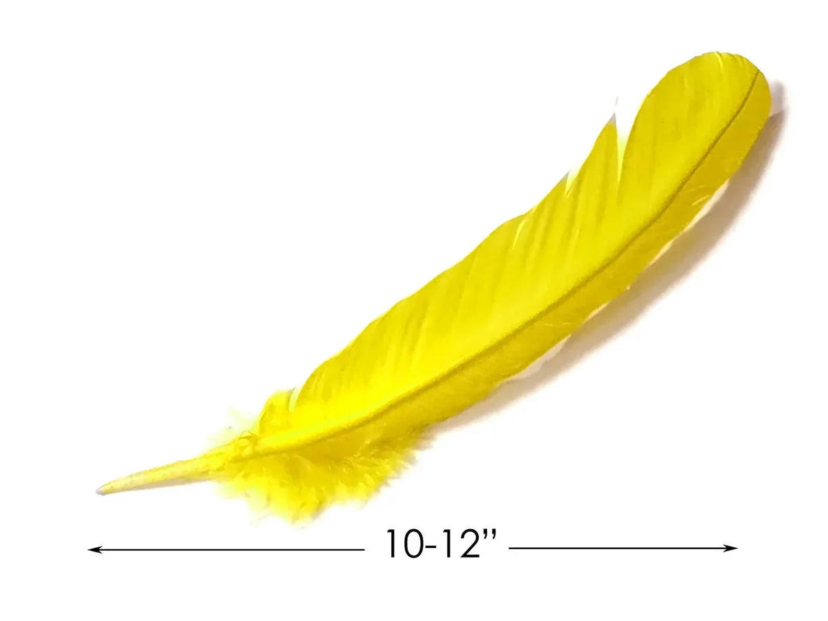 Single bright yellow craft feather, 10-12 inches long, isolated on white background.