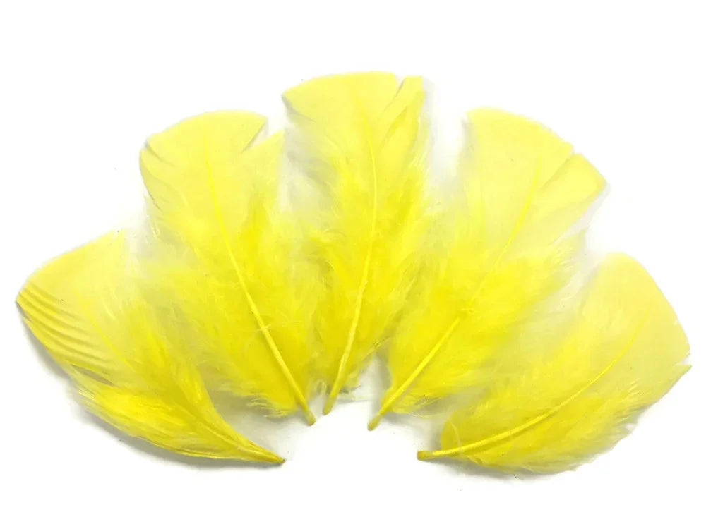 Five vibrant bright yellow craft feathers arranged on a white background.