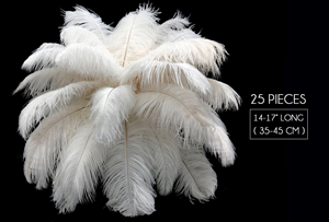 Ostrich Feather Centerpiece 