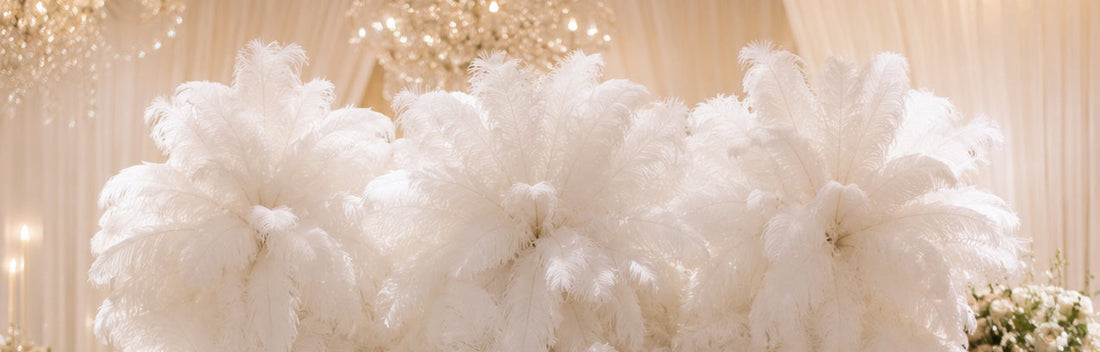 Custom Feather wall