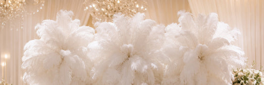 Custom Feather wall