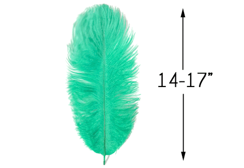 Mint green ostrich drab feather beside a 14–17 inch length guide.
