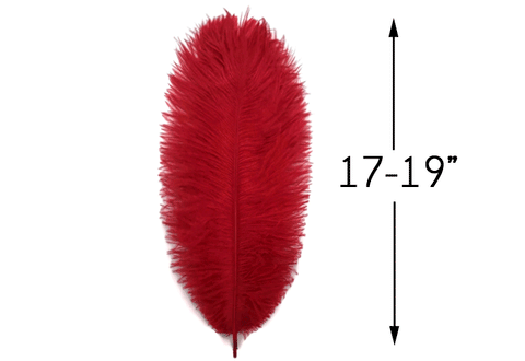 Red ostrich drab feather beside a 17–19 inch length guide.