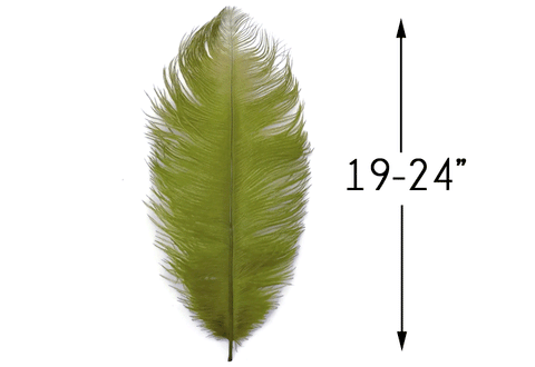 Olive green ostrich drab feather beside a 19–24 inch length guide.