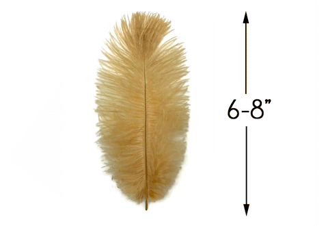 Golden beige ostrich drab feather beside a 6–8 inch length guide.