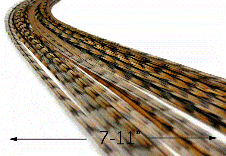 New - Grizzly LONG Feathers