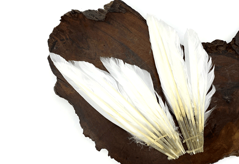 White duck feathers arranged in a fan against a piece of wood.