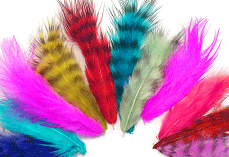 Feathersd Rooster Feathers for Sale | Dyed & Natural Rooster Feathers – Moonlight ...