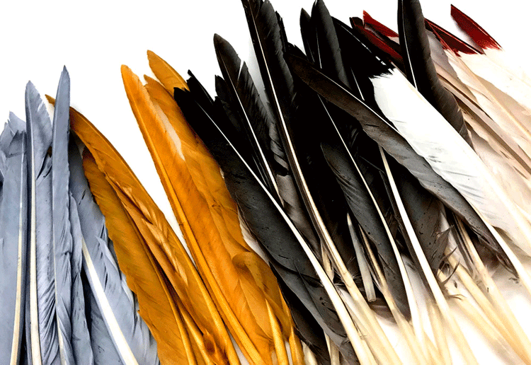 GOOSE POINTER FEATHERS