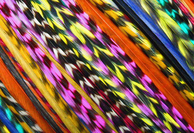 HAIR FEATHERS