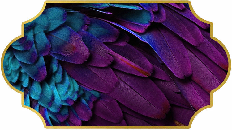 CRUELTY-FREE FEATHERS