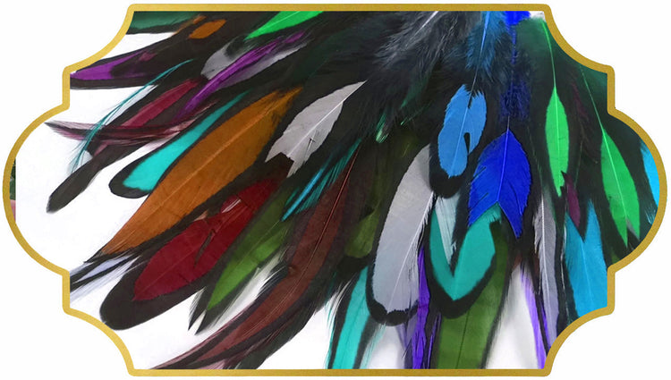 HEN FEATHERS