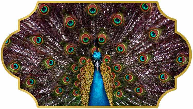 Natural Peacock Tail Feathers