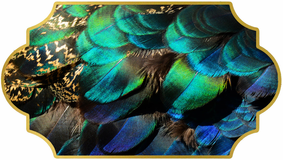 Peacock Body & Wing Feathers