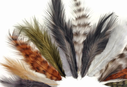 Small rooster feathers in natural brown, gray, black, and white.