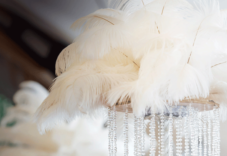 OSTRICH FEATHERS