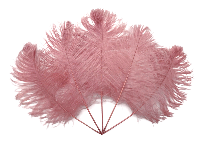Bulk Ostrich Tail Feathers
