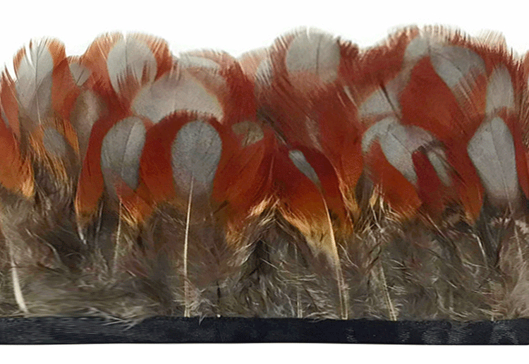 Pheasant Feather Trim